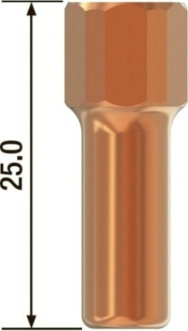 Катод FUBAG FB P100(10 шт.) [FBP100_EL]