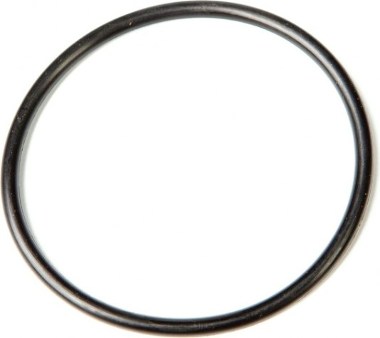 Кольцо уплотнительное корпуса подшипника SKIPPER для Yamaha 20-30, 40-50 [SK93210-58M21]