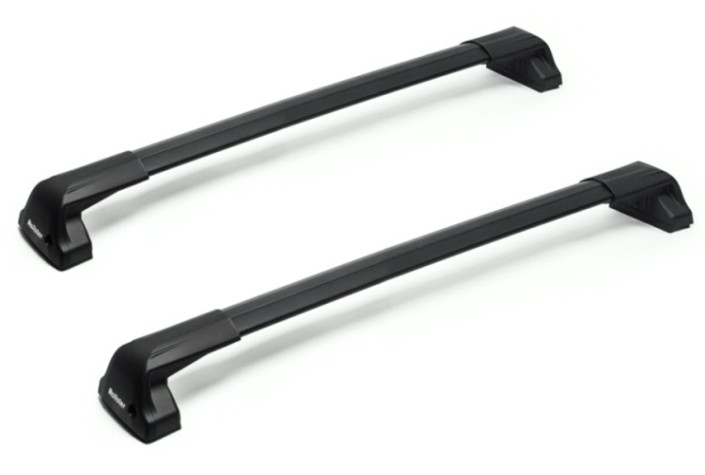 Комплект дуг для багажной системы ROLLSTER Mercury 20511 L=920/850 мм, черный 2шт [20511]