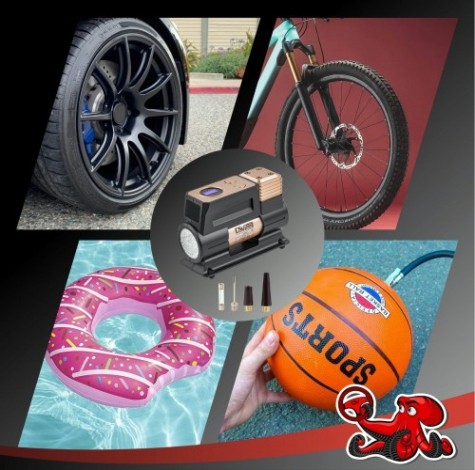 Компрессор автомобильный Dsv 224 000 smart, с led фонарем [224000]