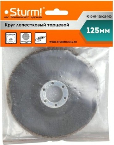 Круг лепестковый Sturm 9010-01-125x22-100 125х22, p100 Круг лепестковый Sturm 9010-01-125x22-100 125х22, p100