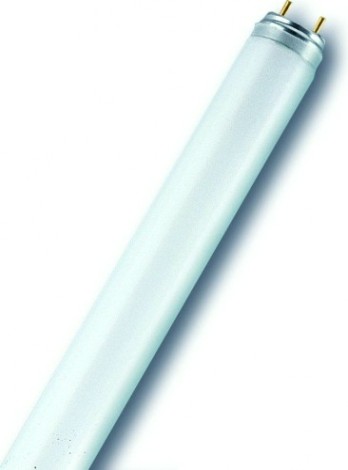 Лампа люминесцентная Osram T8 LUMILUX линейная l 58w/865 25x1 [4008321582720]