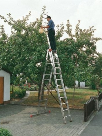 Лестница трехсекционная KRAUSE MONTO TRIBILO 3х12 [120953]