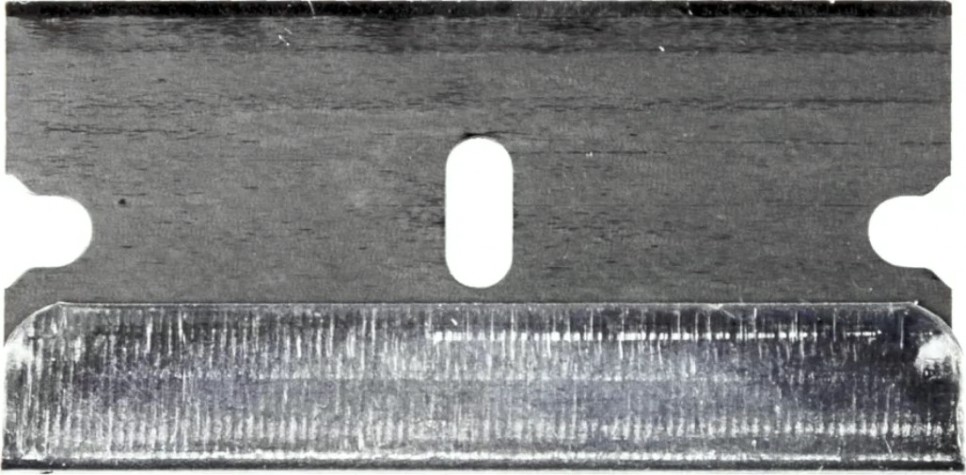 Лезвия REXANT 12-4968 сменные для скребка 19х39х205 мм 10 шт.