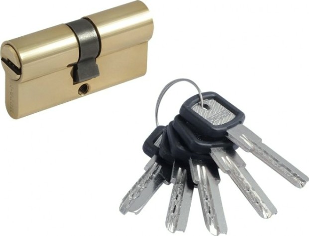 Личинка замка НОРА-М ЛПУ.УК-60 (30-30) "Золото" [14985]