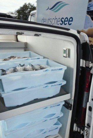 Логгер данных температуры Testo 175 Т1 [Витринный образец]