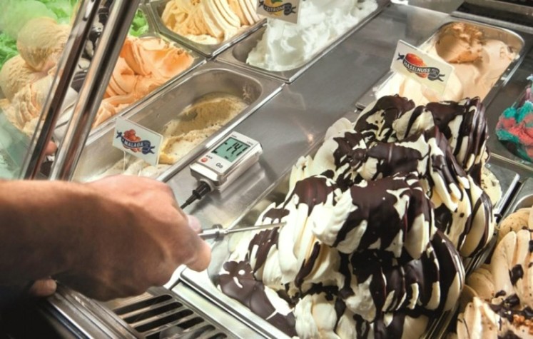 Логгер данных температуры Testo 175 Т2 [05721752]