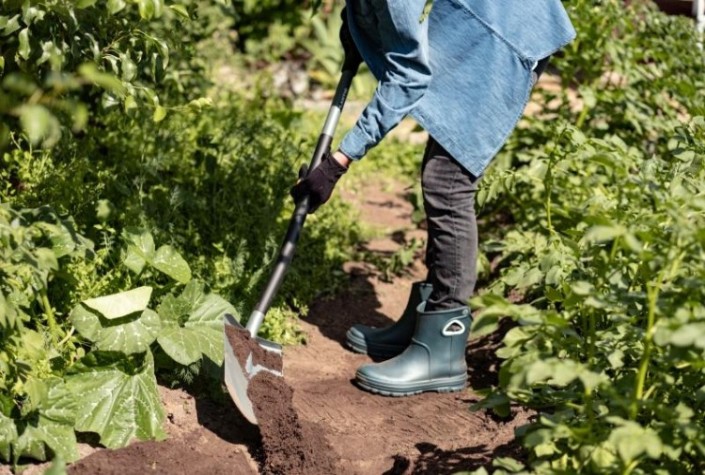 Лопата PLANTIC 11002-01 Terra Pro штыковая [11002-01]