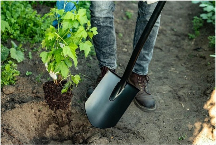 Лопата PLANTIC 11005-01 Terra штыковая [11005-01]