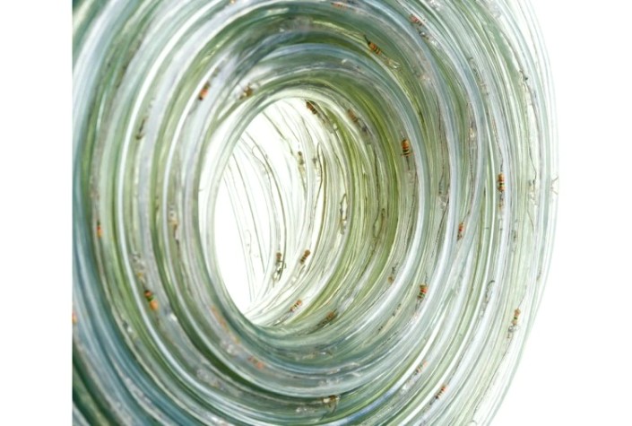 Набор дюралайт Neon-Night 121-329-20 LED фиксинг (2W) – мульти (rygb), 24LED/м, 20м