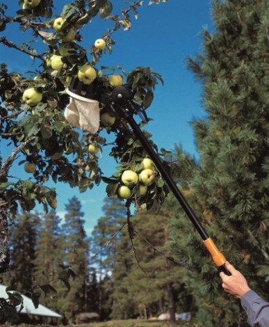 Насадка для сбора фруктов FISKARS 1001562 (4) Насадка для сбора фруктов FISKARS 1001562 (4)