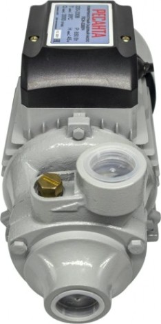 Насос поверхностный Ресанта ПСН-3300Ч [77/4/3]