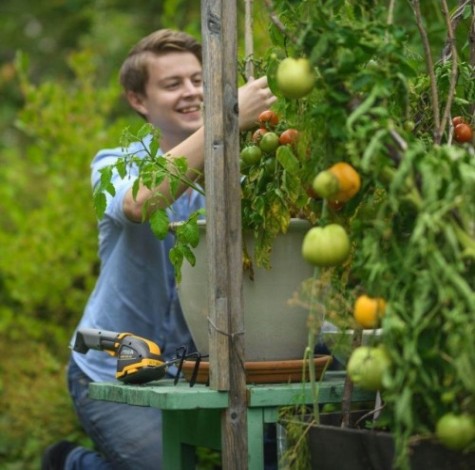 Ножницы для травы аккумуляторные STIGA SGM 102 AE [253010241/ST1]