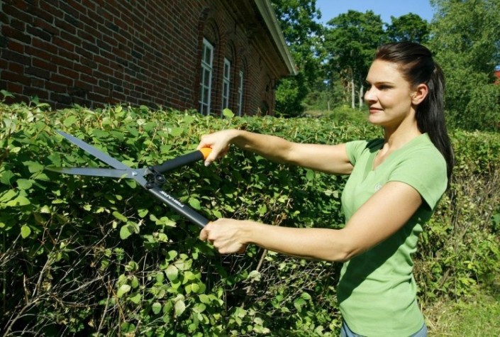 Ножницы для живой изгороди FISKARS HS52 1001564 [1001564]