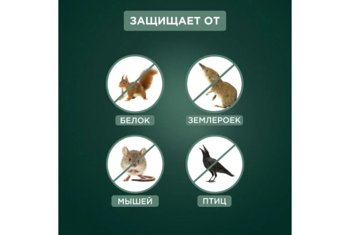 Отпугиватель REXANT 71-0089 птиц, животных на солнечной батарее, бабочка