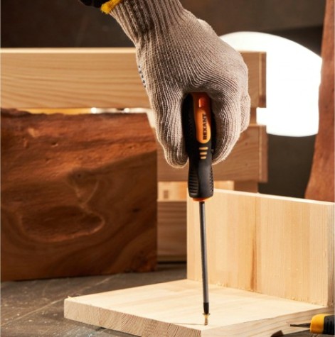 Отвертка крестовая REXANT PH 1х100 мм Cr-V двухкомпонентная рукоятка [12-4727]