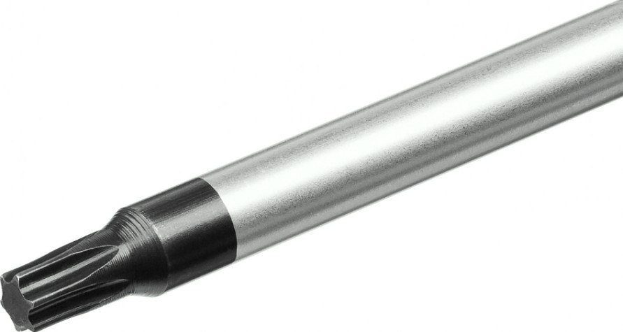 Отвертка TX ЗУБР ПРОФЕССИОНАЛ tx20x100 [25234-20_z01]