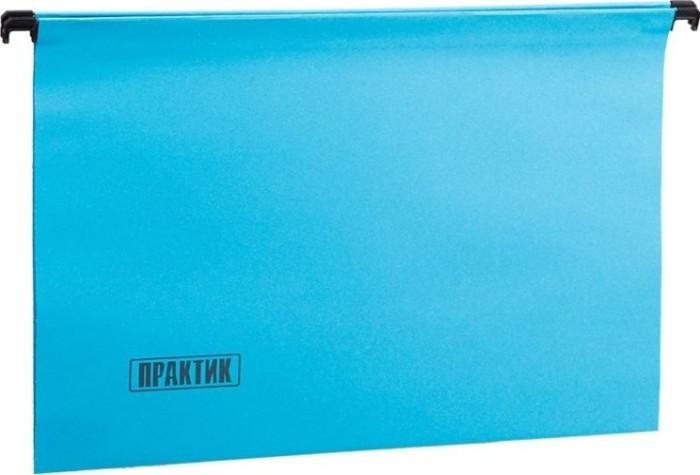 Папки ПРАКТИК FP FS Синие упаковка 50 шт. [20001120]
