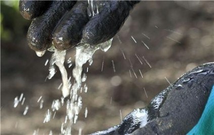 Перчатки садовые для работы с почвой GARDENA размер 8 (M) 00206-32.000.00 [00206-32.000.00]