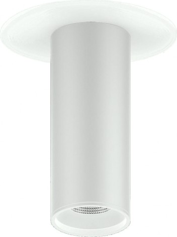 Потолочный светодиодный светильник GAUSS HD013 overhead накл цил 12w 920lm 4100k белый