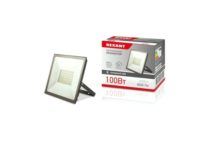 Прожектор REXANT 605-005 светодиодный СДО 100Вт 8000Лм 6500К холодный свет