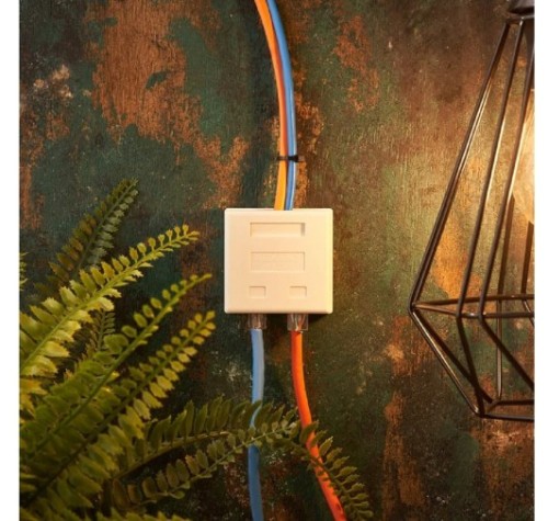 Розетка компьютерная+телевизионная REXANT 03-0120 внешняя, RJ-45(8P8C) + RJ-11(6P-4C), UTP