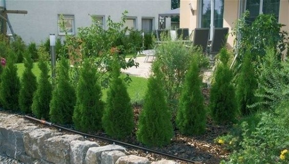 Шланг сочащийся GARDENA 50 м для наземной прокладки 13013-20.000.00 [13013-20.000.00]