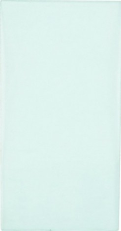 Стекло для маски сварщика FUBAG BLITZ 9.13 в новом корпусе внутреннее 95,9 х 47,2 мм [992301]