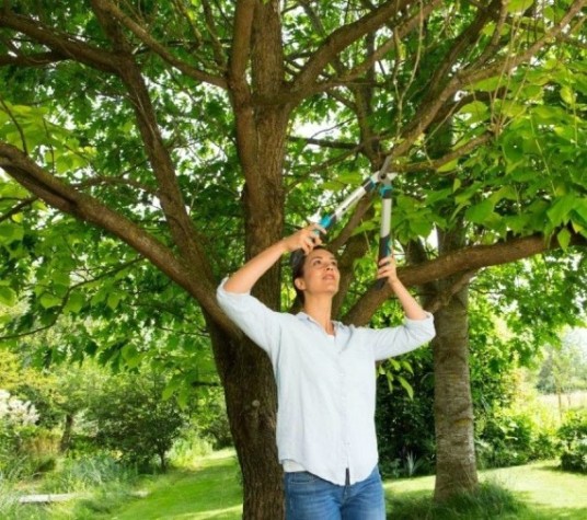 Сучкорез GARDENA EasyCut 500B 12002-20.000.00 [12002-20.000.00]