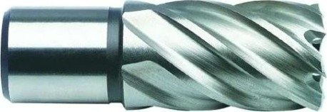 Сверло по металлу корончатое D.BOR (3/4''), HSS 31х55 мм с хв. weldon 19 мм [D-CD-HSS-055-031-W]