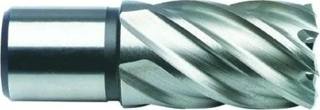 Сверло по металлу корончатое D.BOR (3/4''), HSS 33х55 мм c хв. weldon 19 мм [D-CD-HSS-055-033-W]