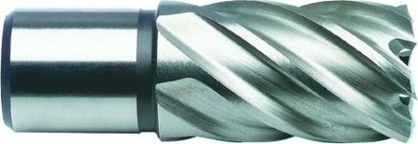 Сверло по металлу корончатое D.BOR (3/4''), HSS-Co, 21,0*30/55 мм с хв. weldon 19 мм [W-041-474210102D]