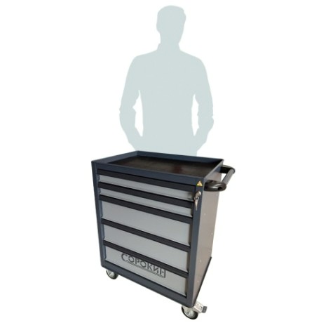 Тележка инструментальная СОРОКИН 9.5 передвижная 5 отделений