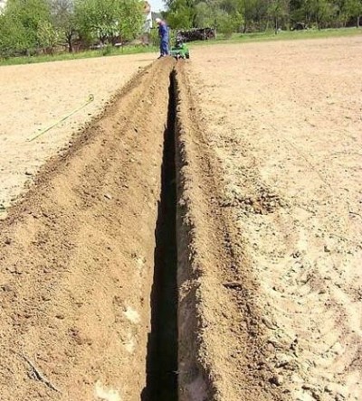 Траншеекопатель LASKI TR 60HC/CH440S [TR60/14HC]