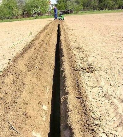 Траншеекопатель LASKI TR 60HC/GX390S [TR60/13HC]