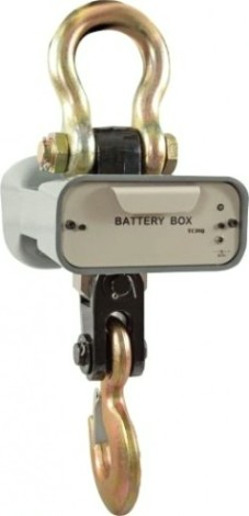 Весы крановые Cas CASTON I 5 THA (до 5 т) [1262763]