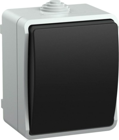 Выключатель 1-клавишный IEK ВС20-1-0-ФСр ФОРС IP54 для открытой установки [EVS10-K03-10-54-DC]