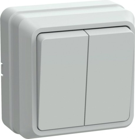 Выключатель 2-клавишный IEK ВС20-2-0-ОБ 10А ОКТАВА для открытой установки белый [EVO20-K01-10-DC]