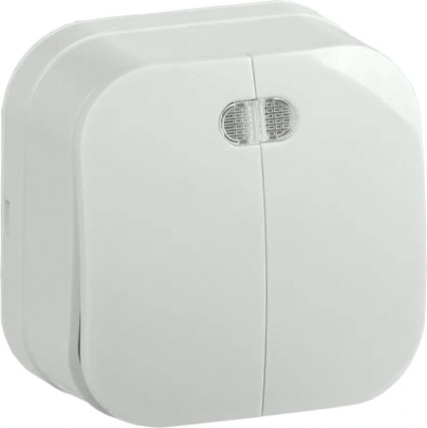 Выключатель двухклавишный IEK GLORY ВС20-2-1-ХБ 10А с индикацией, белый [EVH21-K01-10]