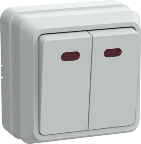 Выключатель двухклавишный IEK Октава ВС20-2-1-ОБ 10А IP20 с индикацией, белый [EVO21-K01-10-DC]