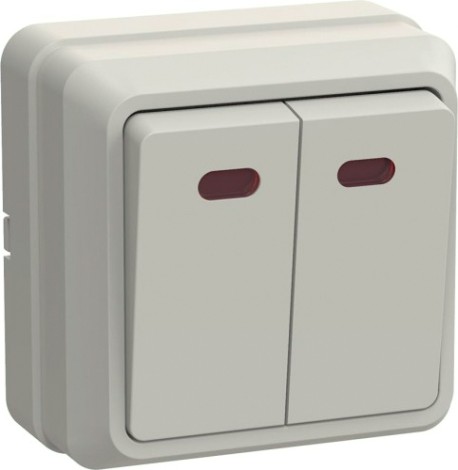 Выключатель двухклавишный IEK Октава ВС20-2-1-ОКм 10А IP20 с индикацией, кремовый [EVO21-K33-10-DC]